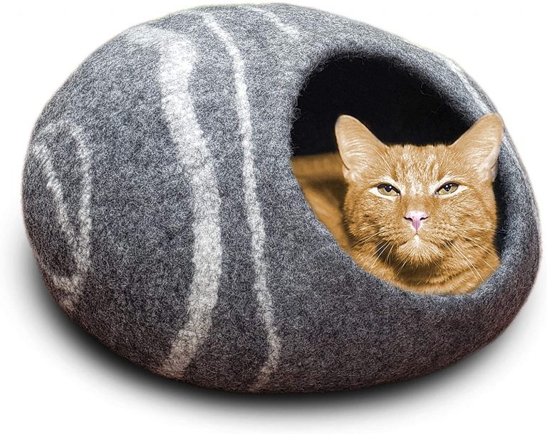 Covered Cat Beds Large CatsBuying Guide