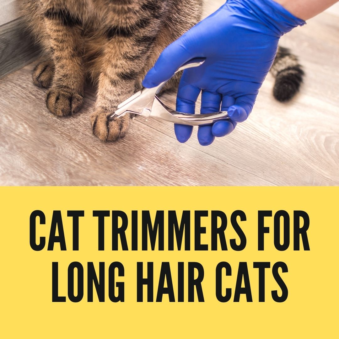 Cat Trimmers for Long Hair Cats Birman Cats Guide